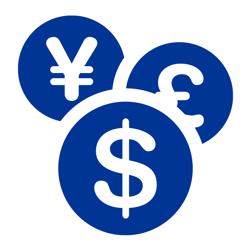 currency icon