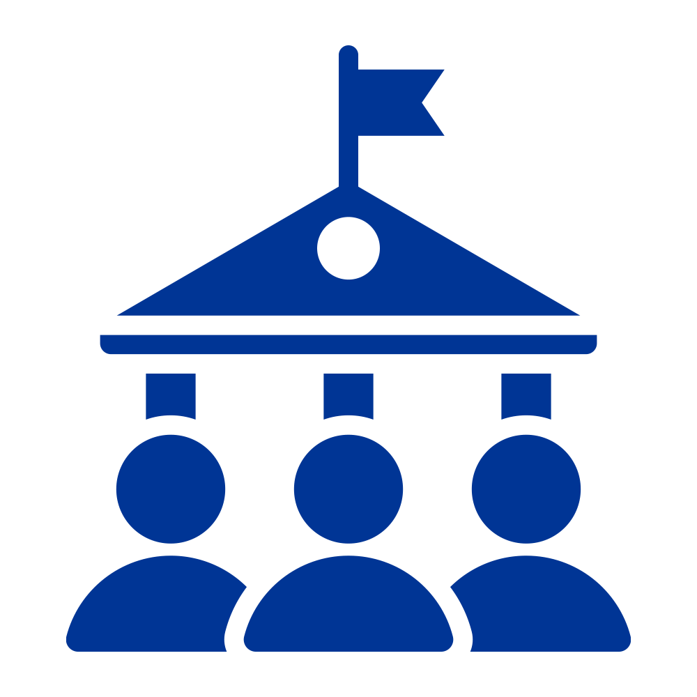 government icon